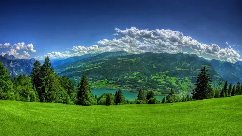 Картинки Фото зеленое поле с деревьями и горами на заднем плане