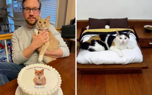 Котиков Фото человек, сидящий на диване с кошкой на коленях