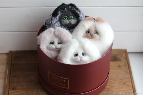 Котиков Фото группа котят в миске