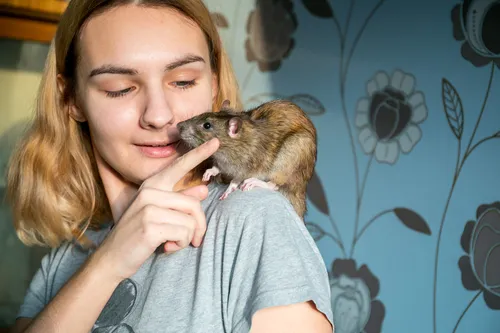 Найоми Смарт, Крысы Фото женщина, держащая маленькое животное