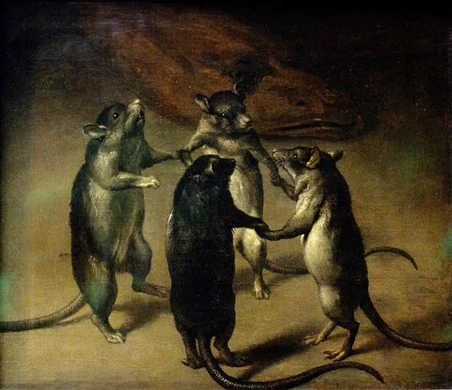 Крысы Фото группа кошек