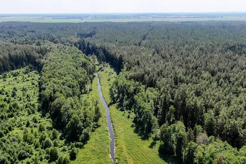 Леса Фото река, протекающая через лес