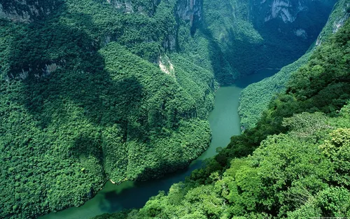 Леса Фото река в лесу