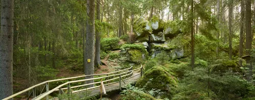 Леса Фото деревянный мост в лесу