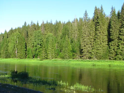 Леса Фото озеро, окруженное деревьями
