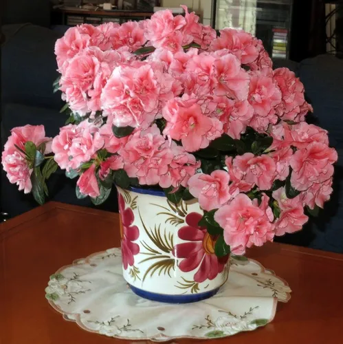 Азалия Фото ваза с розовыми цветами