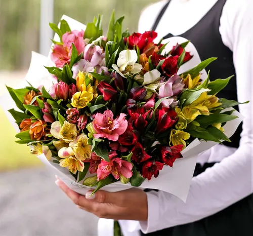 Альстромерия Фото человек с букетом цветов