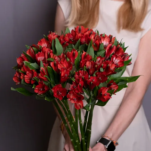 Альстромерия Фото женщина с букетом красных цветов