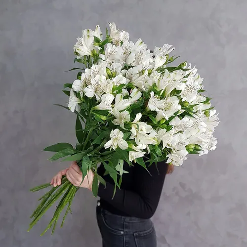 Альстромерия Фото человек с букетом белых цветов