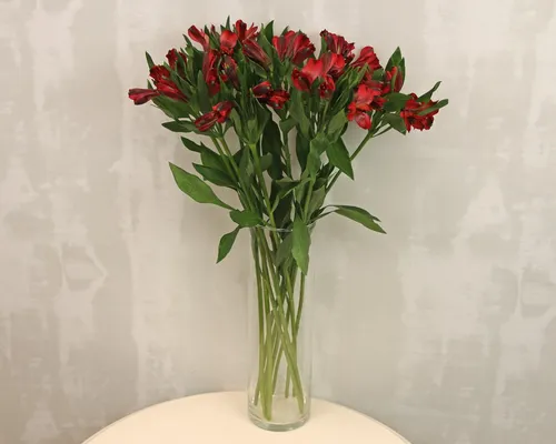 Альстромерия Фото ваза с красными цветами