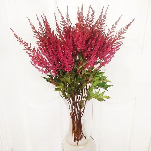 Астильба Фото ваза с розовыми цветами