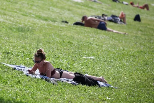 Васкулит Сыпи Фото группа людей, лежащих на траве
