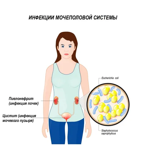 Цукаса Ходзё, Выделения При Баквагинозе Фото рисунок