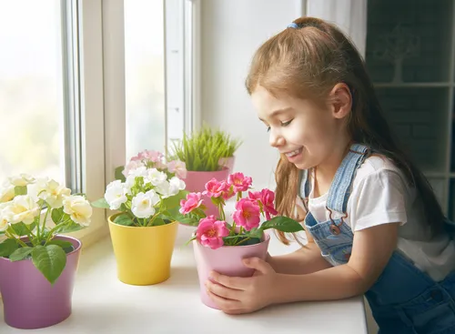 Комнатные Растения И Названия Фото молодая девушка смотрит на цветы