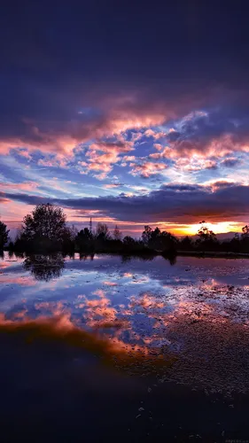Айфон Красивые Обои на телефон водоем с деревьями и закатом на заднем плане