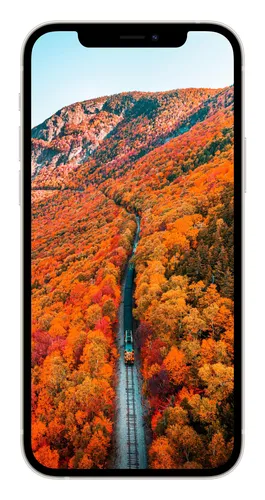 Айфон Красивые Обои на телефон дорога, проходящая через лес