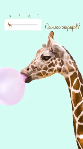 Животные Обои на телефон жираф лижет воздушный шар