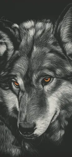 Волк Обои на телефон волк с оранжевыми глазами