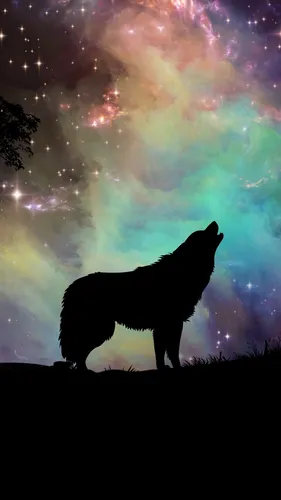 Волк Обои на телефон силуэт собаки, смотрящей на звезды в небе