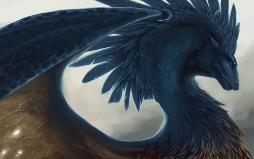Дракон Обои на телефон черная птица с голубой головой