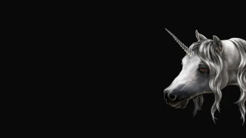 Unicorn Единорог Обои на телефон белая лошадь с длинным рогом