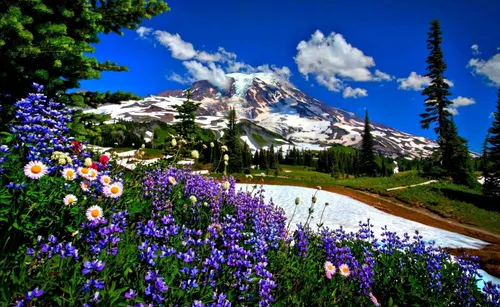 Горы Обои на телефон красивый сад с горами на заднем плане
