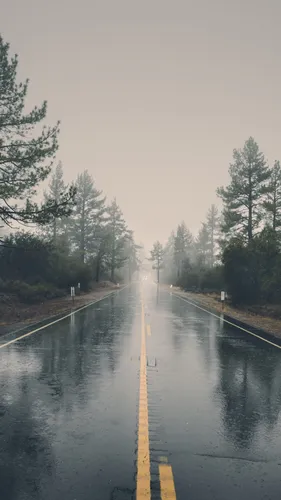 Дождь Обои на телефон мокрую дорогу с деревьями по обе стороны