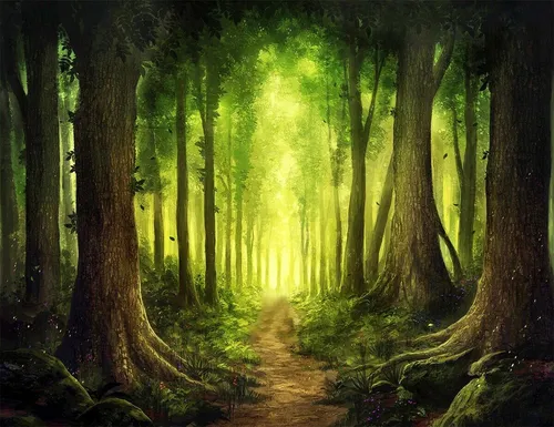 Лес Обои на телефон грунтовая тропа через лес