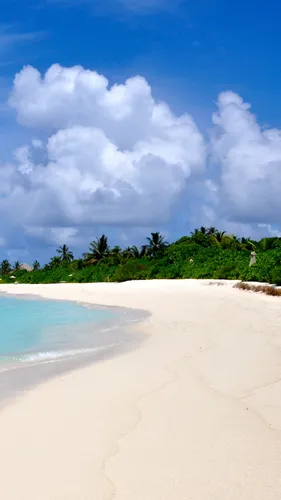 Мальдивы Обои на телефон пляж с деревьями и водоемом