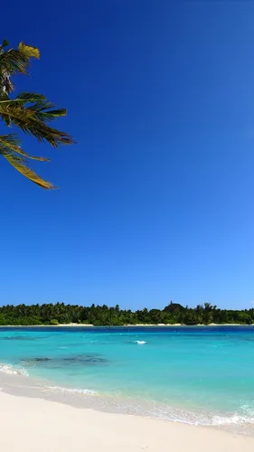 Мальдивы Обои на телефон пляж с чистой голубой водой