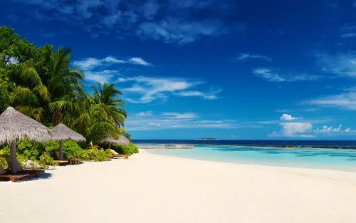 Мальдивы Обои на телефон пляж с деревьями и зонтиками