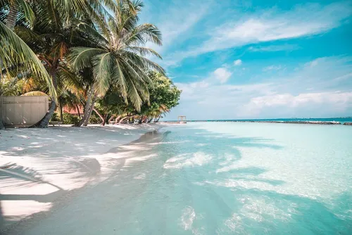 Мальдивы Обои на телефон пляж с пальмами и голубой водой