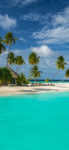 Мальдивы Обои на телефон пляж с пальмами и водоемом