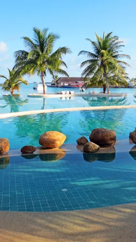 Мальдивы Обои на телефон бассейн со скалами и деревьями вокруг него