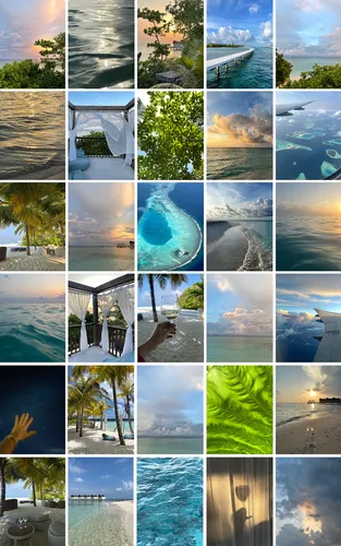 Мальдивы Обои на телефон коллаж из разных видов разных деревьев и воды