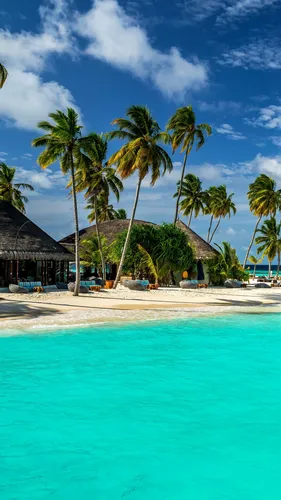 Мальдивы Обои на телефон курорт с пальмами