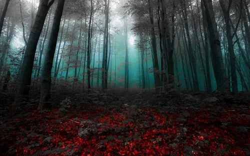 Мрачные Обои на телефон лес с красными листьями