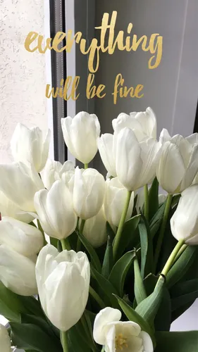 Весна Тюльпаны Обои на телефон группа белых цветов