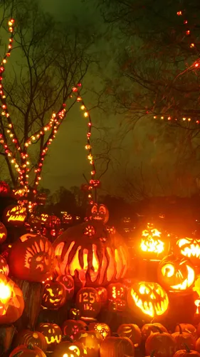 Хэллоуин Обои на телефон группа зажженных тыкв