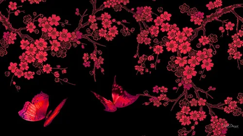Японский Стиль Обои на телефон человек, лежащий на клумбе с цветами