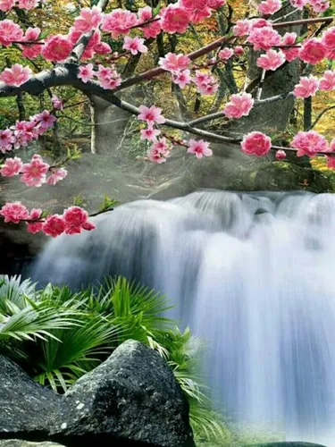 Сакура Обои на телефон водопад с розовыми цветами