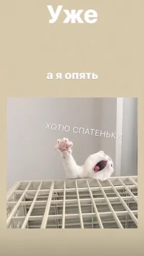 Смешные С Надписью Обои на телефон белая кошка на белой кроватке