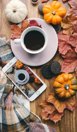 Уютные Осенние Обои на телефон чашка кофе и тыквы на столе