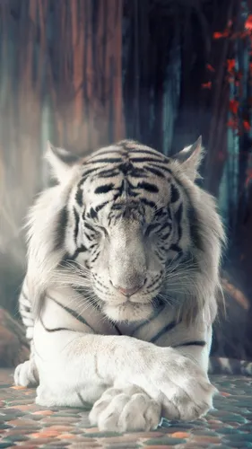 Белый Тигр Обои на телефон белый тигр лежа