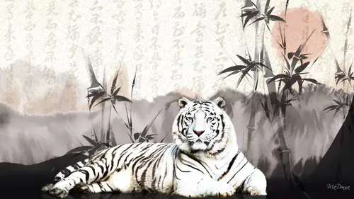 Белый Тигр Обои на телефон фотография