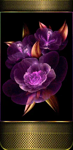 группа фиолетовых цветов