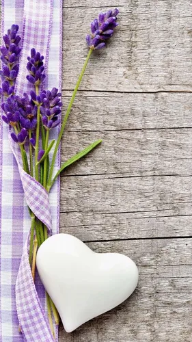 Лавандовые Обои на телефон белое яйцо с фиолетовыми цветами