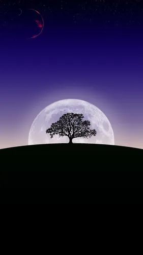 Луна Обои на телефон дерево перед луной