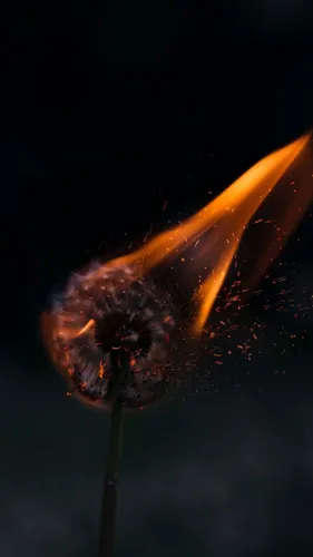 Огонь Обои на телефон фейерверк, взрывающийся в небе