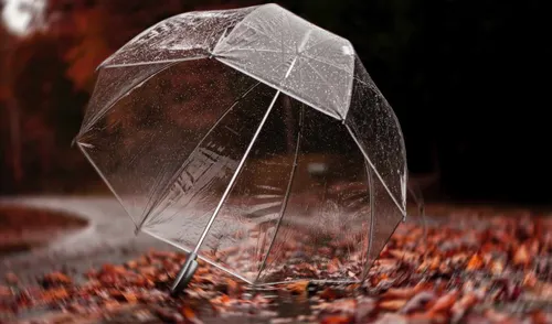 Осень Дождь Обои на телефон сломанный зонт на земле